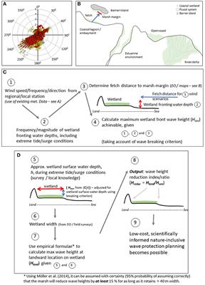 Applying Uncertain Science to Nature-Based Coastal Protection: Lessons From Shallow Wetland-Dominated Shores